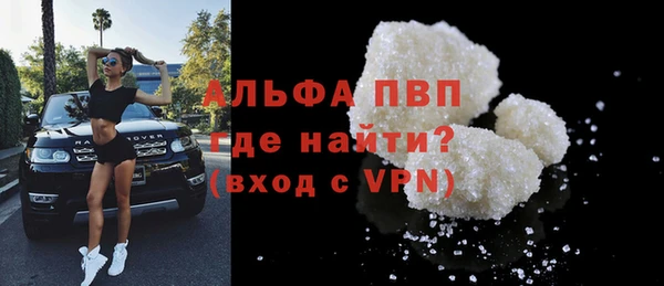 сатива Баксан