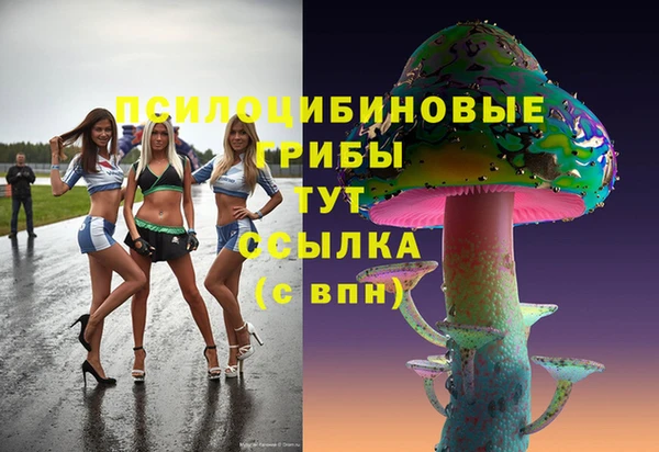 не бодяженный Армянск