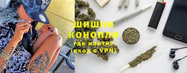 сатива Баксан