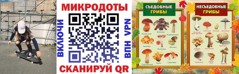 Галлюциногенные грибы Psilocybine cubensis блэк спрут ссылка Новосокольники даркнет сайт
