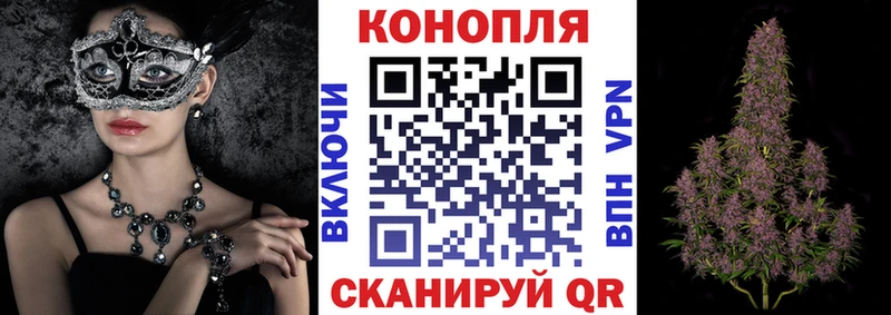 Конопля индика  OMG ТОР  Новосокольники 